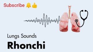 LUNG SOUNDS  Normal amp Abnormal Wheeze  Rhonchi  Rales  Rub   Breath Sounds [upl. by Sido]