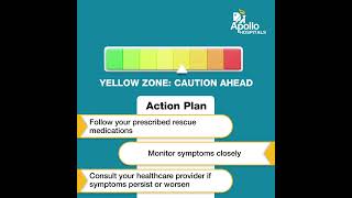 Asthma Zones Explained Breathe Easy with Confidence [upl. by Yrdua686]