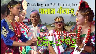 Palam Limbu Songs amp SingersChasok TangnamCulture History MundhumTheyusa Phago [upl. by Glick398]