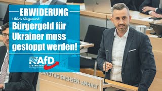 Ulrich Siegmund Bürgergeld für Ukrainer muss gestoppt werden [upl. by Falcone188]