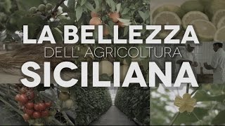 Limite potenza innovazione  La bellezza dellagricoltura siciliana Unict x Expo [upl. by Aicirtak]