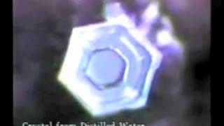 Dr Masaru Emoto Hado Water Crystals Full Documentary [upl. by Sivatnod]