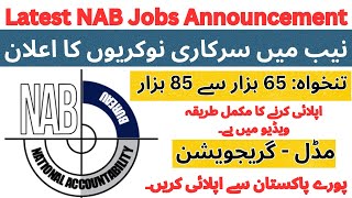 National Accountability Bureau NAB Latest Jobs 2024  How to Apply Eligibility amp Benefits [upl. by Kassab]