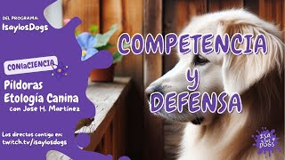 🟣Píldoras de Etología🐶 Competencia y Defensa [upl. by Esyahc]