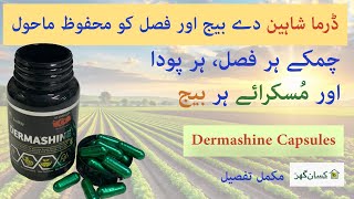 Dermashine is a Trichoderma Türkiye recipe acts as a bio Fungicides bio fertilizer for all plants [upl. by Tracie]