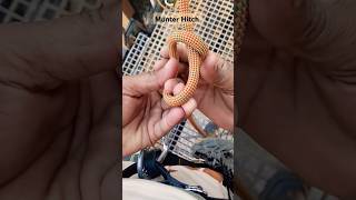 Tie A Munter Hitch 😱😱 JaspreetSkills india climbing mountainsviralvideoviralshortytshorts [upl. by Pol]