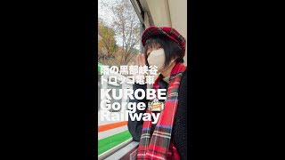 雨の黒部峡谷トロッコ電車 Kurobe Gorge Railway [upl. by Housen]