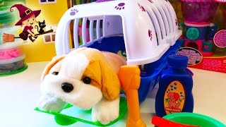 Juguete de Transportin para Perros  Perritos de peluche [upl. by Atiken630]