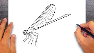 How to draw Damselfly  Insect Drawing [upl. by Rollo]