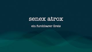 Meistere Latein Deklination von SENEX ATROX [upl. by Burrus]