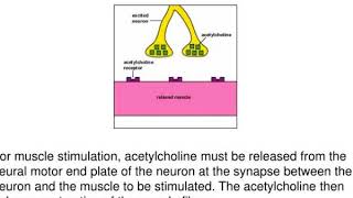 exotoxins cytotoxins neurotoxins enterotoxins enterotoxins [upl. by Trainer]