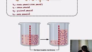 water potential [upl. by Kylynn]