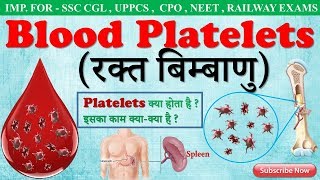 Blood platelets in hindi  platelets  Biology gk trick  SSC CGL CHSL  RAILWAY EXAM [upl. by Assert]