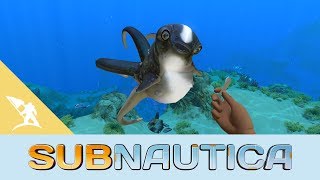 Subnautica Cuddlefish Update [upl. by Gnaw]