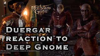 Baldurs Gate 3 Patch 8 Duergar Dwarves react to Deep Gnome Character [upl. by Beora]