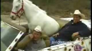 Little girl riding a Lusitano stallion at Golegã [upl. by Kenzie]