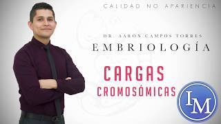 Embriología  Gametogénesis  Cargas Cromosómicas [upl. by Seroka]