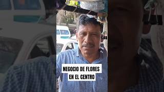 Historias Floristas en el centro [upl. by Arikal]