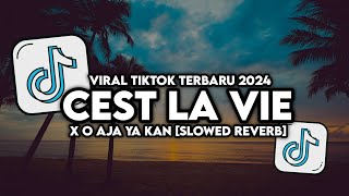 DJ CEST LA VIE X O AJA YA KAN VIRAL TIKTOK TERBARU 2024 SLOWED REVERB [upl. by Eityak]