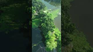 beautiful Bangladesh on birds eye  গ্রামীণজীবন nature trending dronevideo drone dronefootage [upl. by Fidelity]