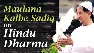 Maulana Kalbe Sadiq on Hindu Dharma at Art of Living Bangalore Ashram [upl. by Natelson]