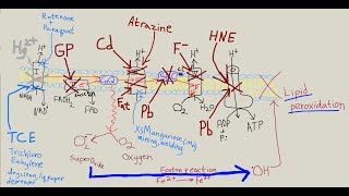 Does TCE TriChloroEthylene cause Parkinsons disease [upl. by Tisdale]