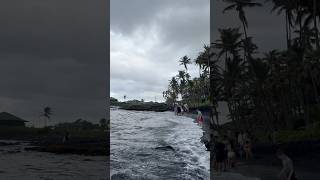 Punalau Beach Black sand beach travel adventure hawaii hawaiibeach [upl. by Ennagrom815]