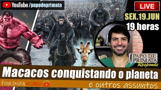 Macacos conquistando o planeta e outros assuntos LIVE [upl. by Talmud]