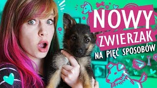 Rysuję SZCZENIAKA na 5 sposobów 🐶 Mam nowego psa [upl. by Cynar869]