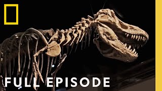 Secrets of the Dinosaurs The Real Jurassic Americas Full Episode  Drain the Oceans [upl. by Alegnasor308]