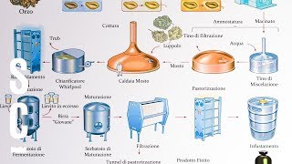 Gli ingredienti e la produzione della birra 🍺 ASSOBIRRA [upl. by Oirretno]