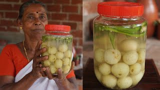 Salted Gooseberry Recipe  Nellikka Uppilittathu  Amla Pickle Recipe [upl. by Esemaj]