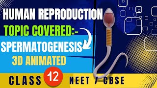 Human Reproduction  Class 12th  Biology ncert neet cbse [upl. by Dong893]