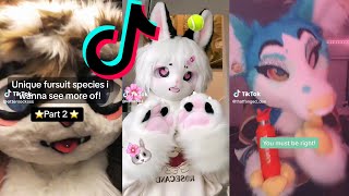 11 Minutes Of Fursuit  TikTok Compilation  Funny Furry 🐻 [upl. by Etep]