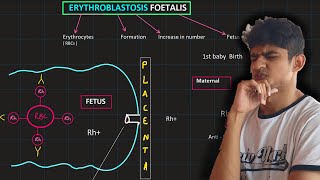 Multiple alleles  ABO  Erythroblastosis fetalis  MDCAT Biology [upl. by Bevis]