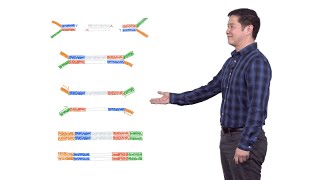 Next Generation Sequencing 2 Illumina NGS Sample Preparation  Eric Chow UCSF [upl. by Arlena]