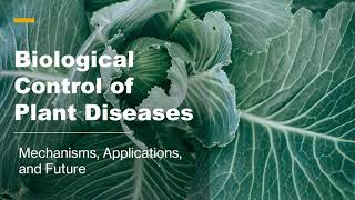 Biological Control of Plant Diseases Mechanisms Examples and Sustainable Farming Solutions [upl. by Garin563]