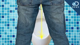 The Science of Pee Splashback [upl. by Panthea]