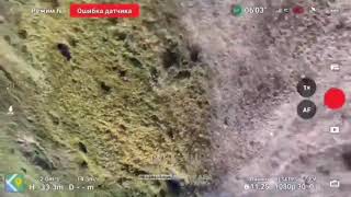 A Ukrainian drone of the quotSvabodaquot was grabbed by an eagle but managed to escape after a while [upl. by Hecker]