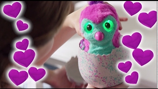 Hatchimals  Hatchy Valentines Day [upl. by Ahsinat]