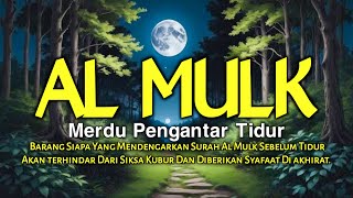 ALQURAN PALING MERDU PENGANTAR TIDUR  MUROTTAL ALQURAN MERDU BACAAN QURAN SURAH AL MULK merdu [upl. by Oneal]