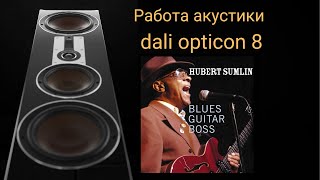 Работа акустики dali opticon 8 музыка Sometimes Im Right Hubert Sumlin [upl. by Livi]