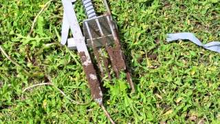 Mole trap that works [upl. by Hardy]