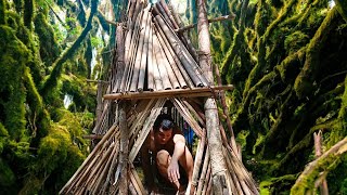 building a house a shelters in the woods after the devastating storm bushcraft shelter skills [upl. by Saduj]