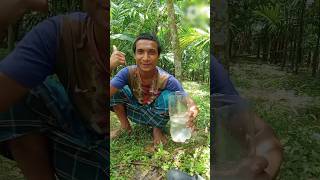 make filter water skills camping singlemom bushcraft outdoors skills sentihub experiment [upl. by Waxler]