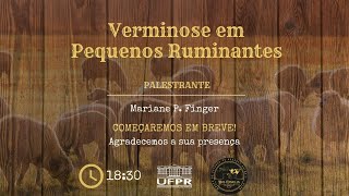 Verminose em Pequenos Ruminantes  MV Mariane P Finger [upl. by Nannie]