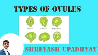 Types of ovules are coming soon I am making long video on channel BSc 2nd Year [upl. by Edorej394]