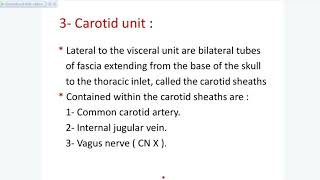 Lecture 4 Neck anatomy Posterior triangle of neck [upl. by Eylatan572]