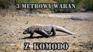 Czy warto lecieć na KOMODO Indonezja SPECIAL cz2 [upl. by Nylecyoj]