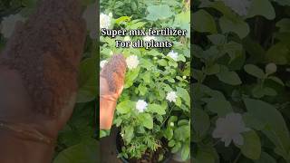 Super mix fertilizer for all plants youtubeshorts shortvideo shortsviral gardening [upl. by Nanreit725]